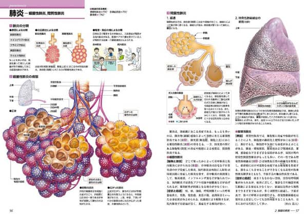 病気の地図帳/矢崎義雄／監修 本 ： オンライン書店e-hon