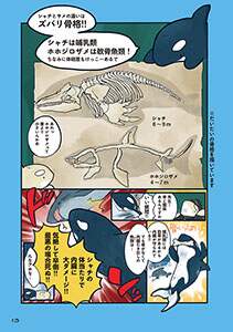 海のどうぶつが可愛すぎて まつおるか 著 本 コミック オンライン書店e Hon 海のどうぶつが可愛すぎて まつおるか 著 本 コミック オンライン書店e Hon